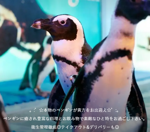 ペンギンのいるダイニングバー沖縄